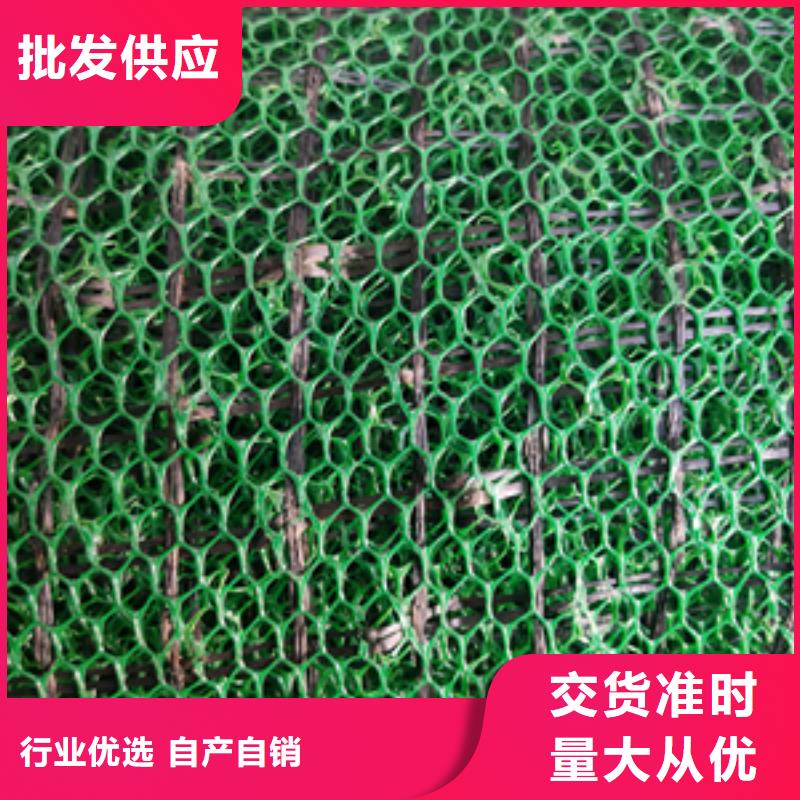 【 三维植被网-单向塑料格栅专业品质】中齐凸结点钢塑土工格栅