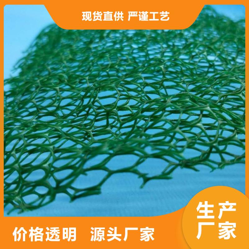 三维植被网防尘布厂家大量现货