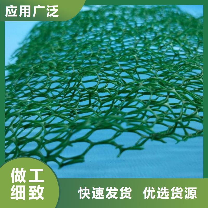 【 三维植被网-单向塑料格栅专业品质】中齐凸结点钢塑土工格栅