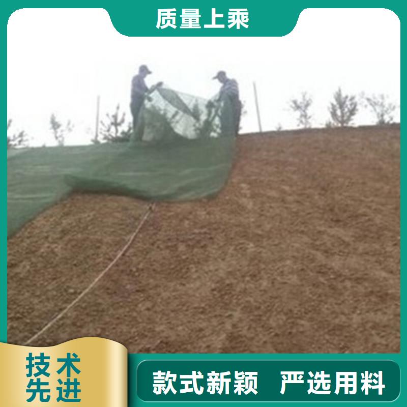 三维植被网防尘布厂家大量现货