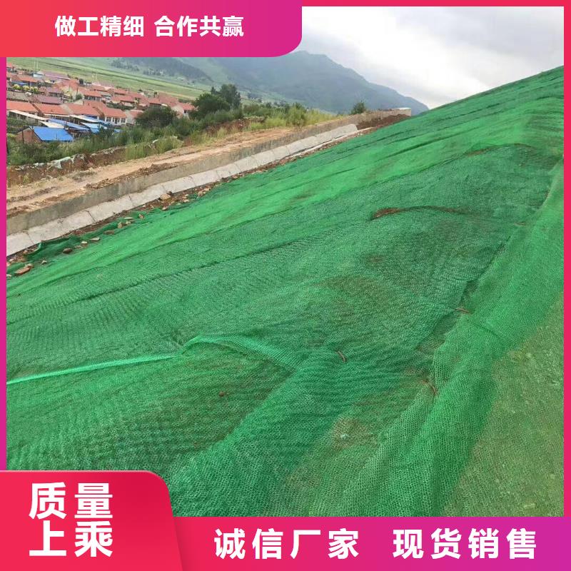 三维植被网防尘布厂家大量现货