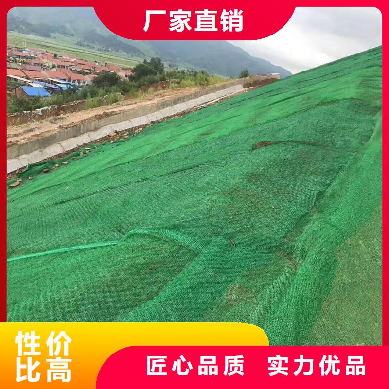 凸结点钢塑土工格栅视频-凸结点钢塑土工格栅|吉林省|吉林|通化|延边|长春|辽源|四平