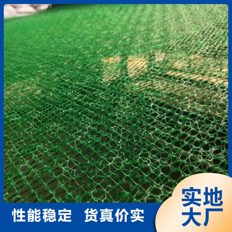 【 三维植被网-单向塑料格栅专业品质】中齐凸结点钢塑土工格栅