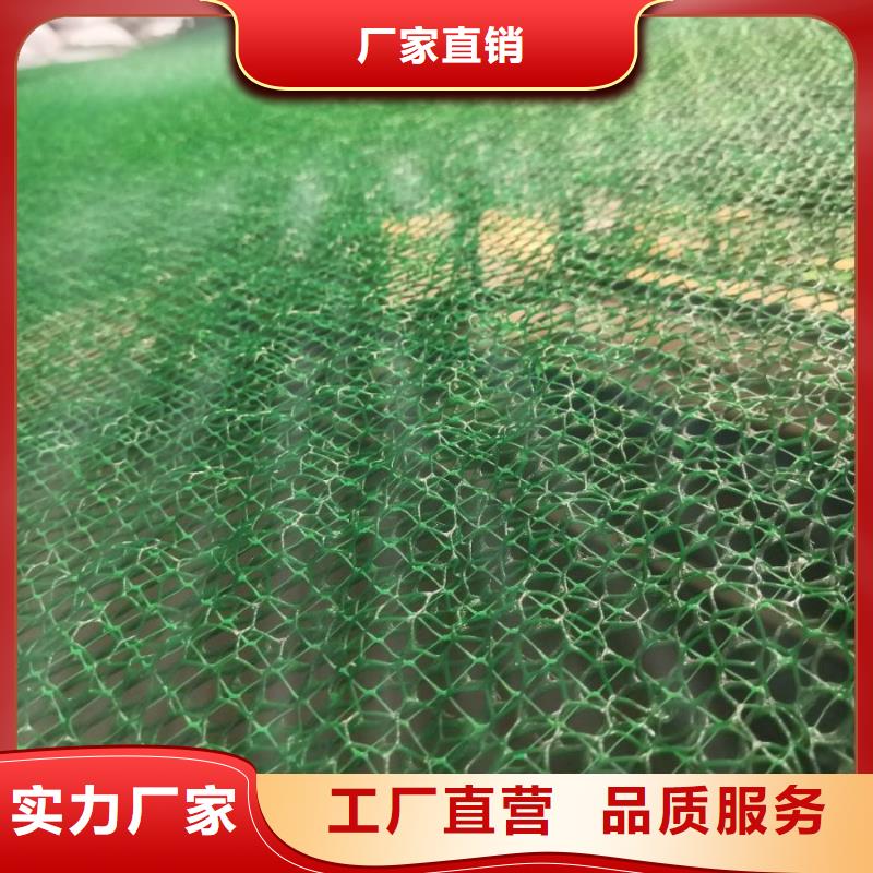 三维植被网防尘布厂家大量现货