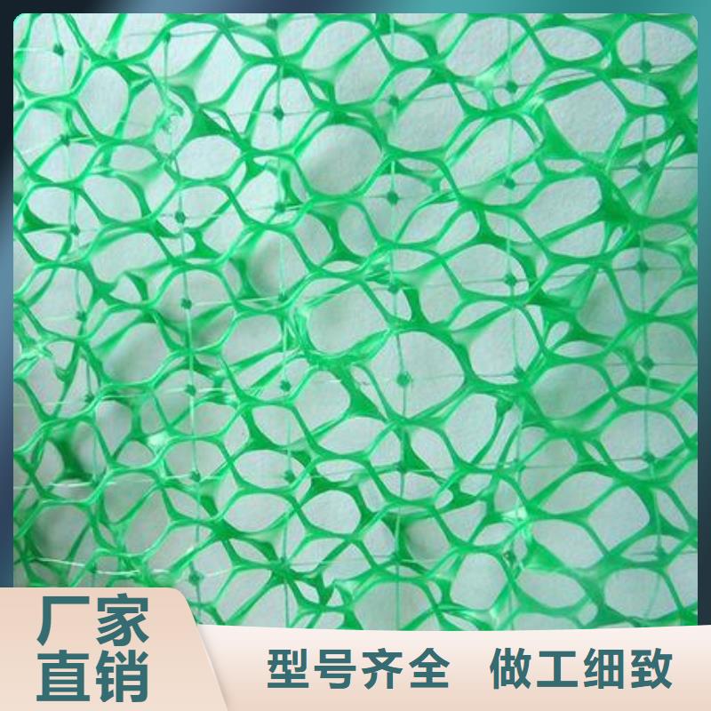 【 三维植被网-单向塑料格栅专业品质】中齐凸结点钢塑土工格栅