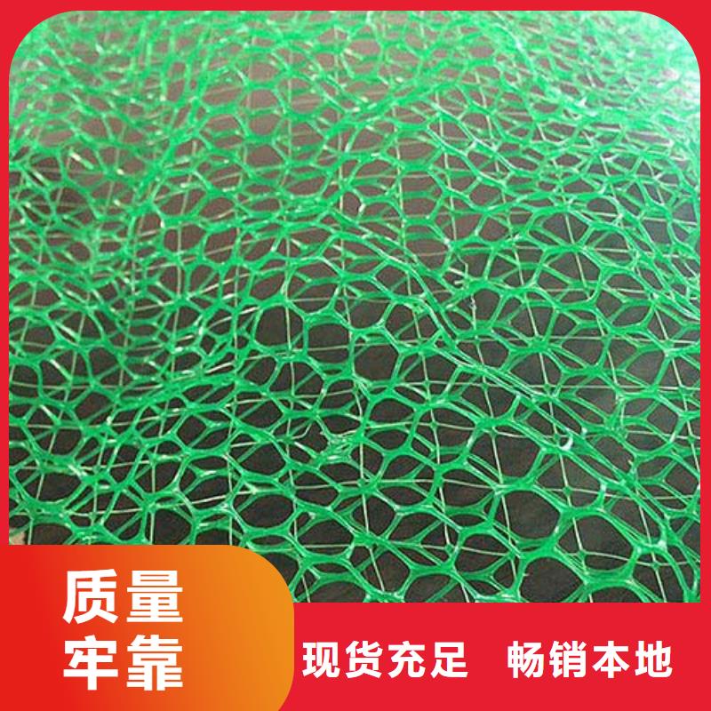 【 三维植被网-单向塑料格栅专业品质】中齐凸结点钢塑土工格栅