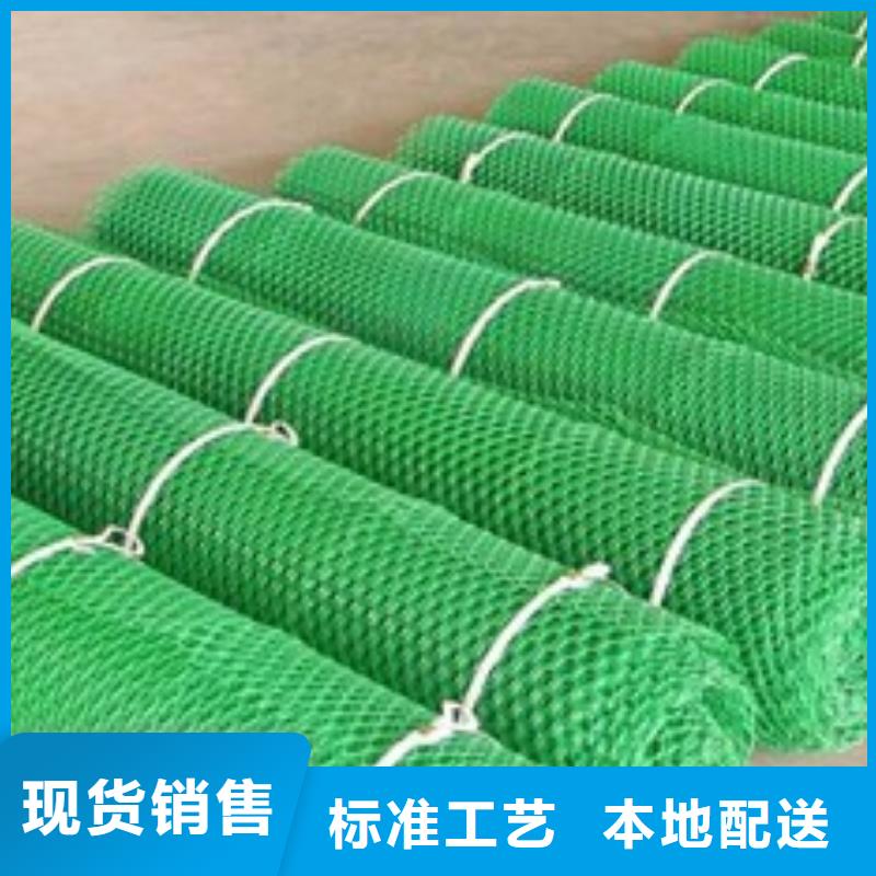 【 三维植被网-单向塑料格栅专业品质】中齐凸结点钢塑土工格栅