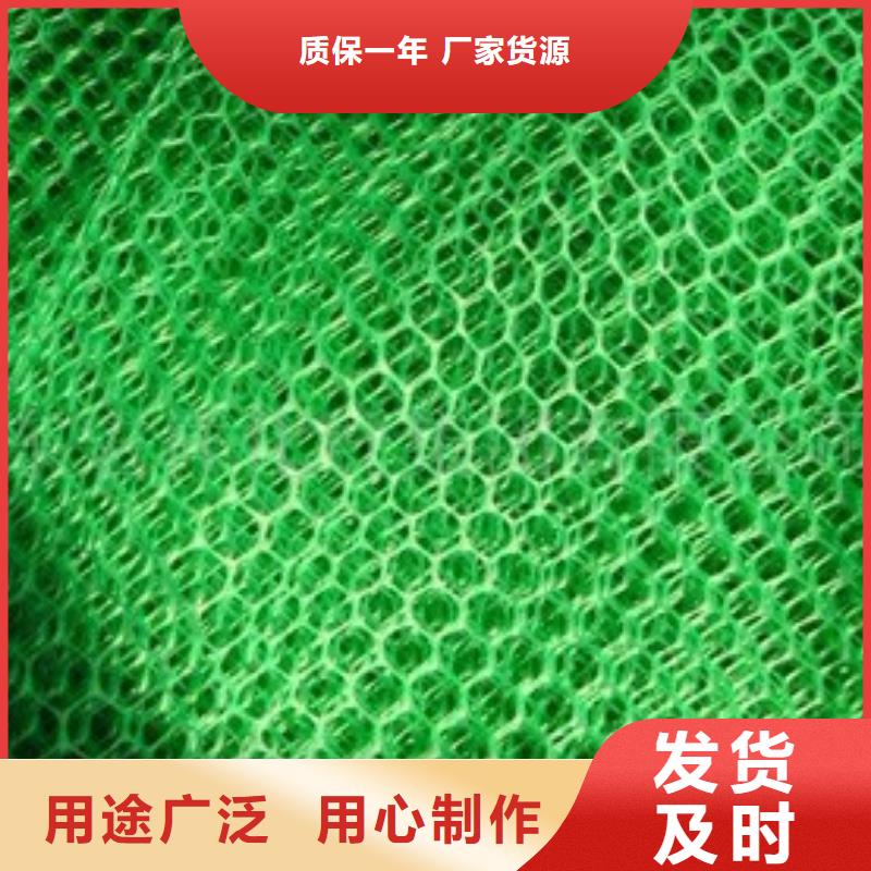 凸结点钢塑土工格栅视频-凸结点钢塑土工格栅|吉林省|吉林|通化|延边|长春|辽源|四平