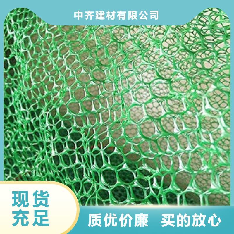 【 三维植被网-单向塑料格栅专业品质】中齐凸结点钢塑土工格栅