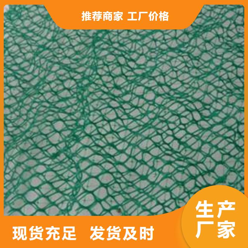 三维植被网防尘布厂家大量现货