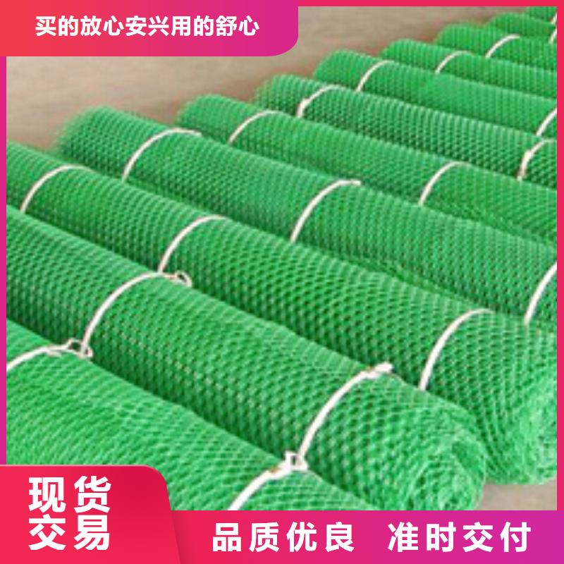 三维植被网防尘布厂家大量现货