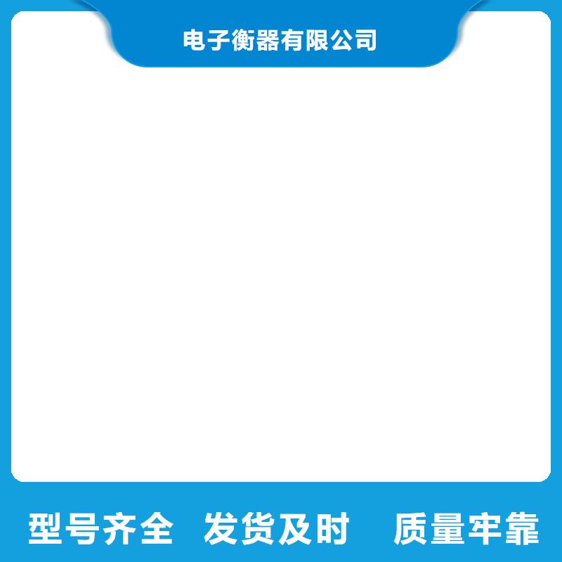 【电子吊秤】-地磅厂家自营 电子衡器(福建省分公司)