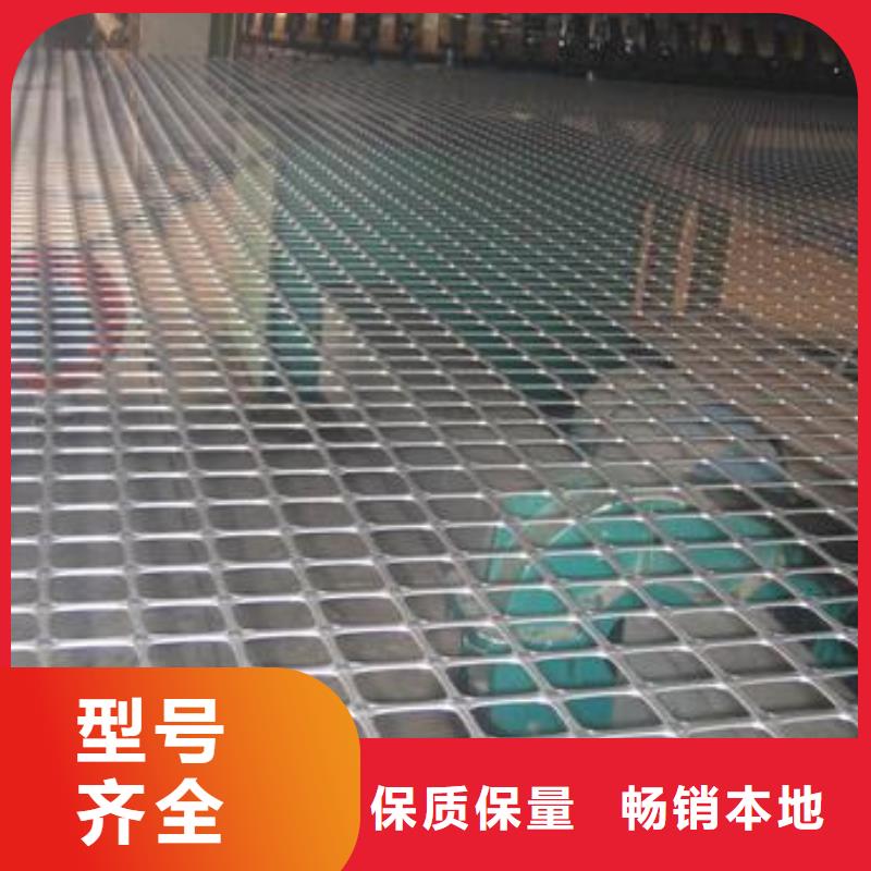 凸结点钢塑土工格栅视频-贵州省铜仁市|江口|德江|安顺|毕节|黔东南|黔南|贵阳凸结点钢塑土工格栅-鼎诺