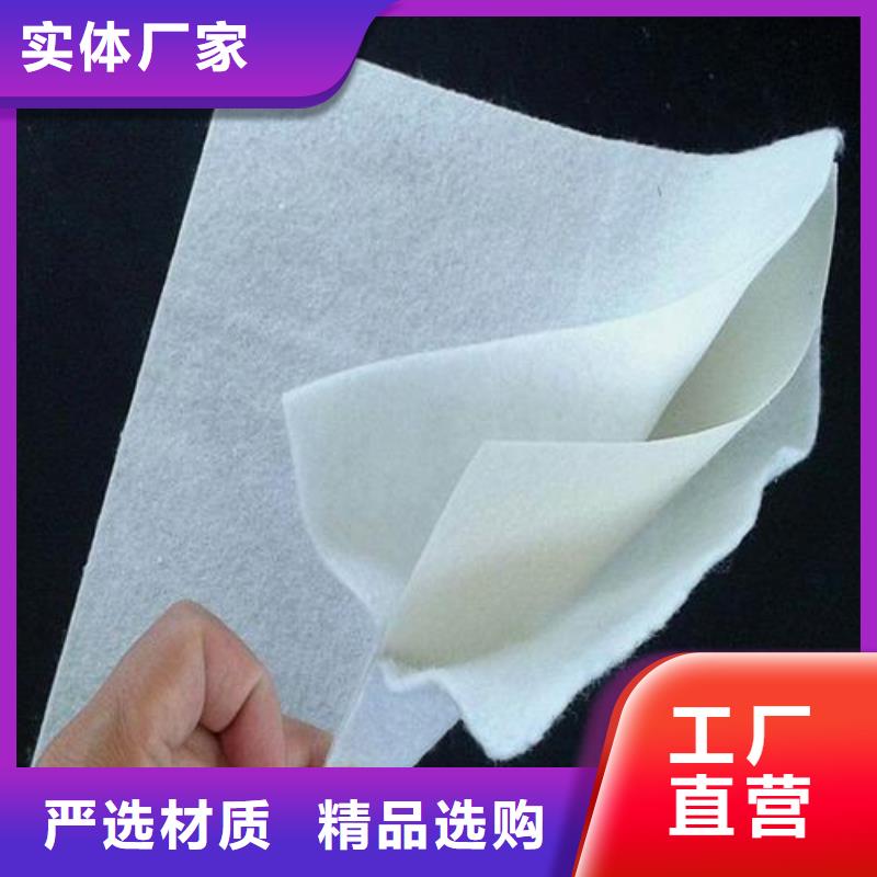凸结点钢塑土工格栅视频-陕西省汉中市鼎诺凸结点钢塑土工格栅可服务区域南郑|城固|安康|商洛|西安|铜川等