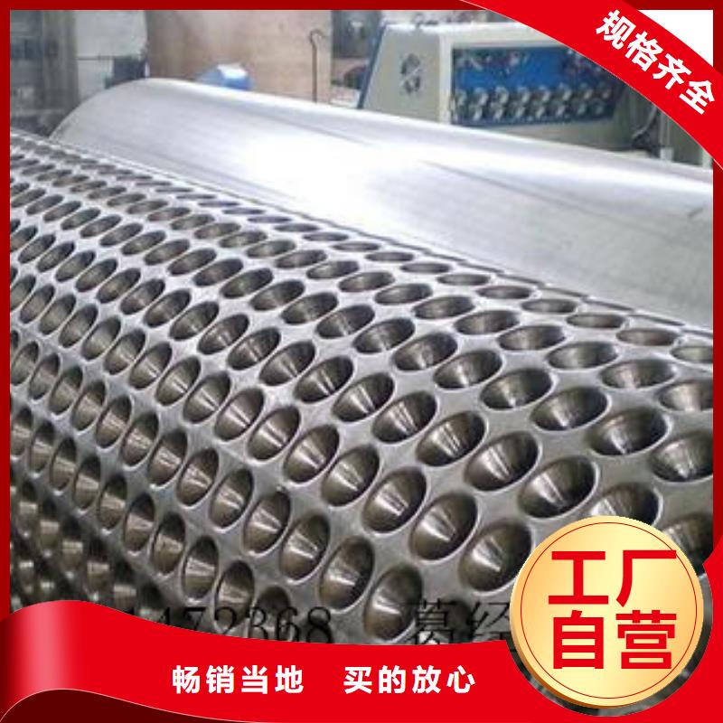 蓄排水板单向塑料土工格栅支持定制