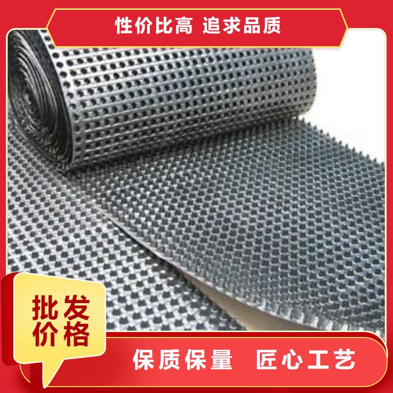 蓄排水板单向塑料土工格栅支持定制