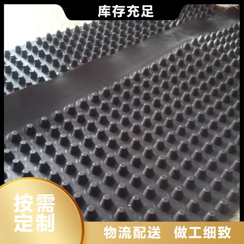 蓄排水板单向塑料土工格栅支持定制