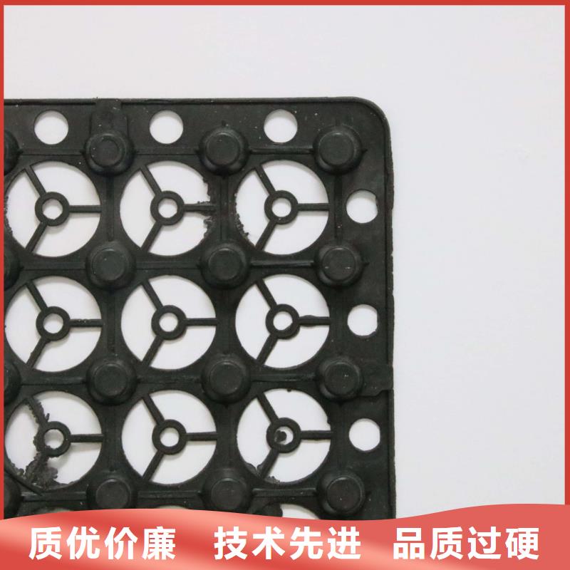 蓄排水板单向塑料土工格栅支持定制