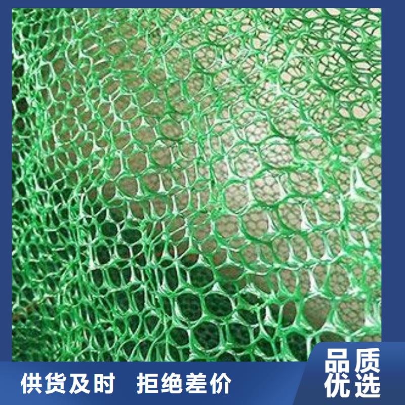 三维植被网 【钢塑土工格栅】一周内发货本地厂家