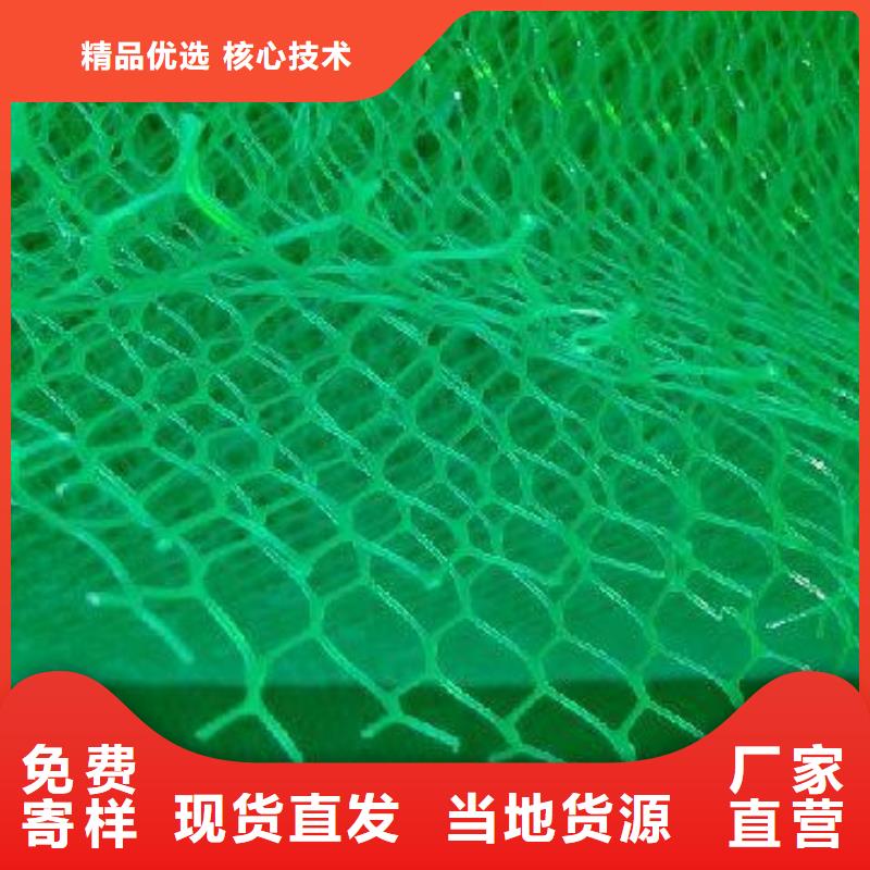 三维植被网 【钢塑土工格栅】一周内发货本地厂家