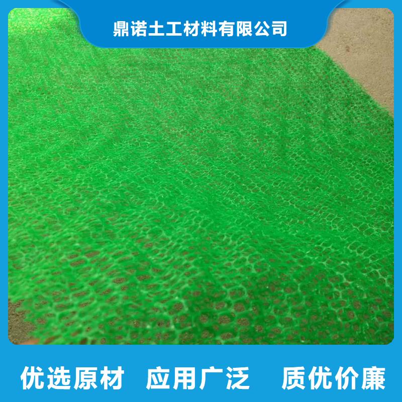 三维植被网 【钢塑土工格栅】一周内发货本地厂家