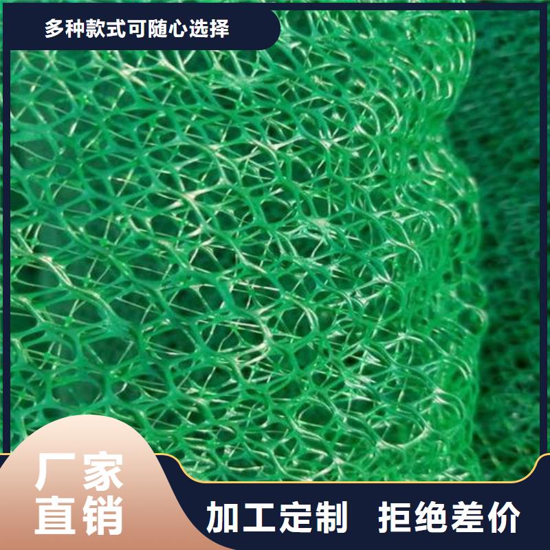 三维植被网 【钢塑土工格栅】一周内发货本地厂家
