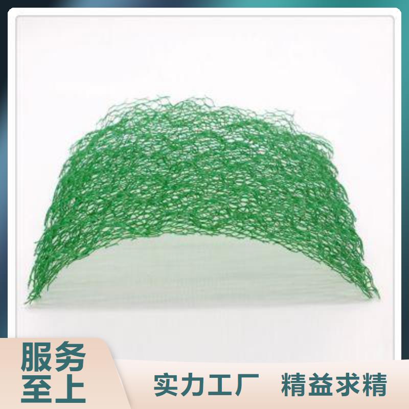 三维植被网 【钢塑土工格栅】一周内发货本地厂家