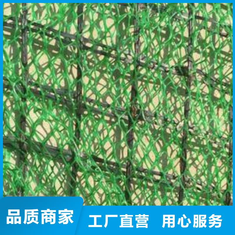 三维植被网 【钢塑土工格栅】一周内发货本地厂家