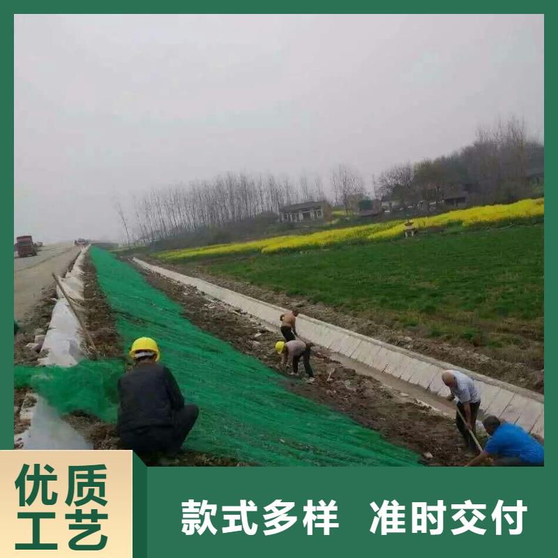 三维植被网 【钢塑土工格栅】一周内发货本地厂家