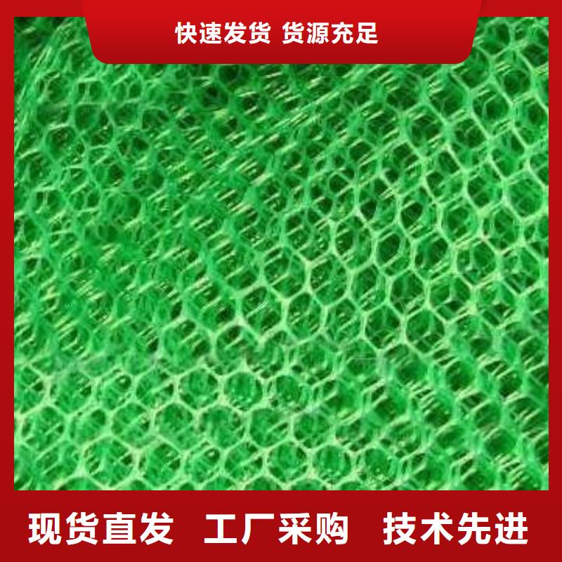 三维植被网 【钢塑土工格栅】一周内发货本地厂家
