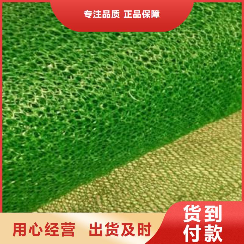 三维植被网 【钢塑土工格栅】一周内发货本地厂家