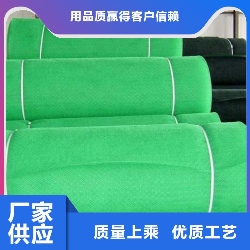 三维植被网 【钢塑土工格栅】一周内发货本地厂家