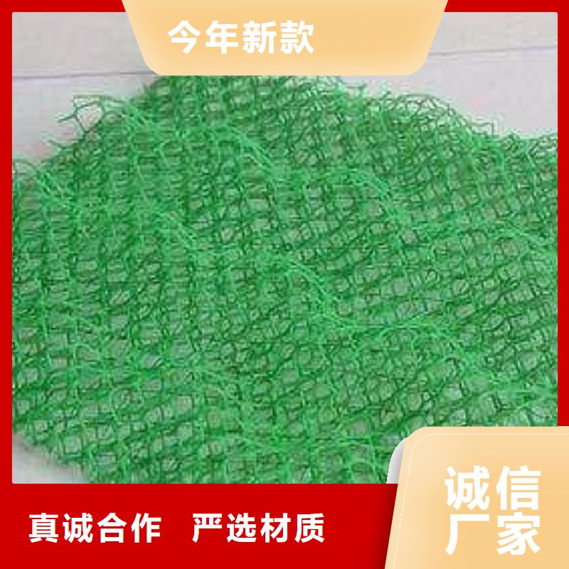 三维植被网 【钢塑土工格栅】一周内发货本地厂家