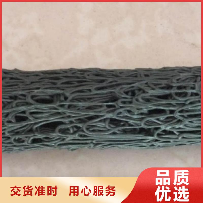 凸结点钢塑土工格栅视频-盘锦市凸结点钢塑土工格栅-【当地】可服务区域兴隆台|双台子|阜新|本溪|辽阳|朝阳|丹东|鞍山|抚顺