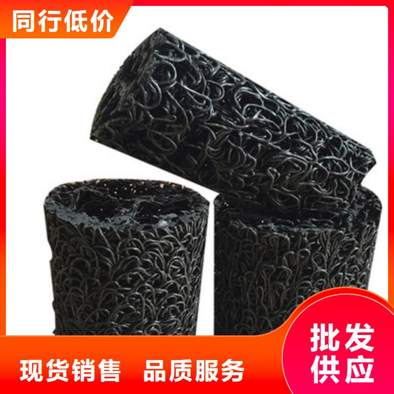 凸结点钢塑土工格栅视频-盘锦市凸结点钢塑土工格栅-【当地】可服务区域兴隆台|双台子|阜新|本溪|辽阳|朝阳|丹东|鞍山|抚顺