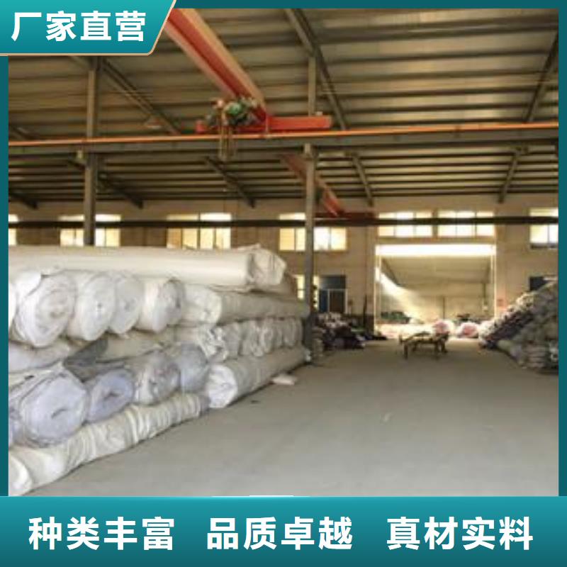 凸结点钢塑土工格栅视频-凸结点钢塑土工格栅|阳泉市|盂县|平定|晋城|晋中|临汾|长治|朔州
