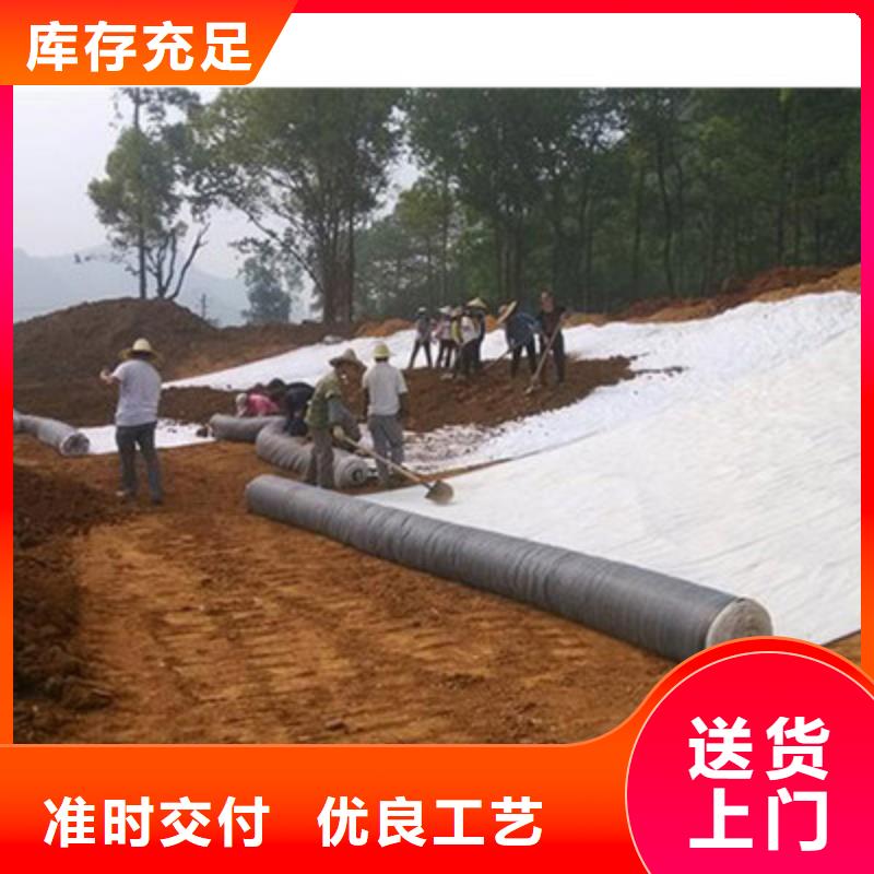 凸结点钢塑土工格栅视频-凸结点钢塑土工格栅|阳泉市|盂县|平定|晋城|晋中|临汾|长治|朔州
