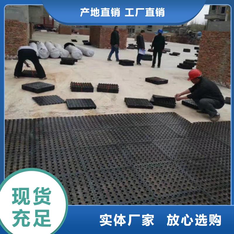 塑料排水板涤纶土工格栅源头采购