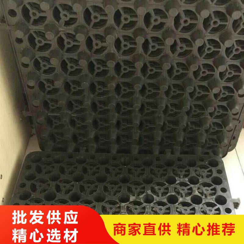 塑料排水板涤纶土工格栅源头采购