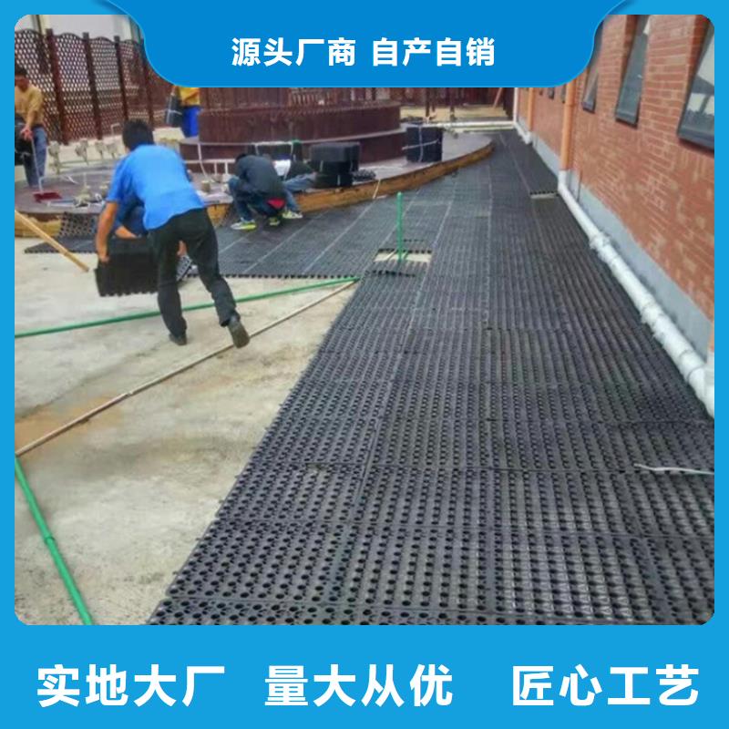 凸结点钢塑土工格栅视频-西藏林芝市亿路通凸结点钢塑土工格栅可服务区域察隅|米林|昌都|阿里|日喀则|那曲等