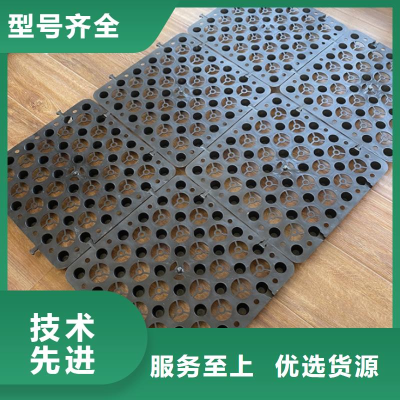 塑料排水板涤纶土工格栅源头采购