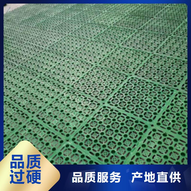 凸结点钢塑土工格栅视频-西藏林芝市亿路通凸结点钢塑土工格栅可服务区域察隅|米林|昌都|阿里|日喀则|那曲等