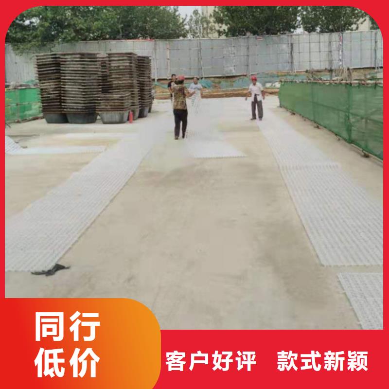 凸结点钢塑土工格栅视频-西藏林芝市亿路通凸结点钢塑土工格栅可服务区域察隅|米林|昌都|阿里|日喀则|那曲等