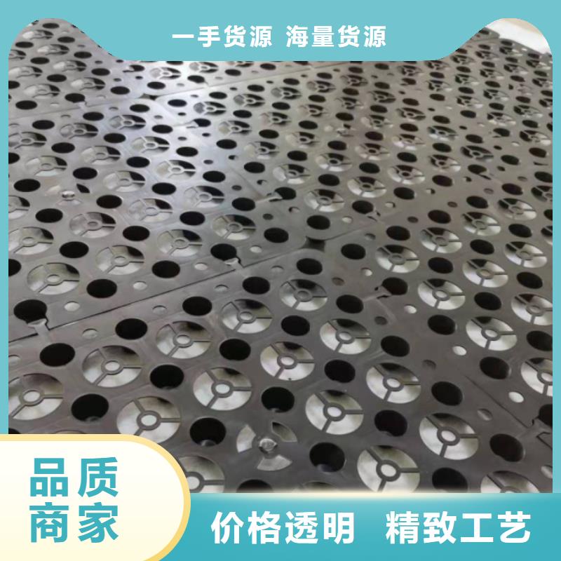 塑料排水板涤纶土工格栅源头采购