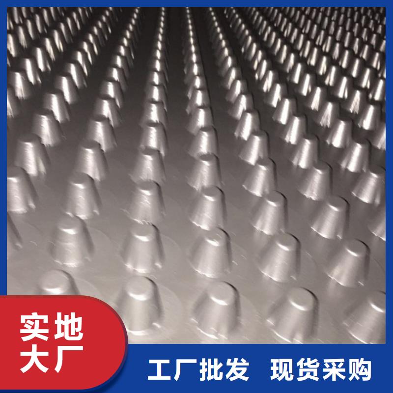 凸结点钢塑土工格栅视频-西藏林芝市亿路通凸结点钢塑土工格栅可服务区域察隅|米林|昌都|阿里|日喀则|那曲等