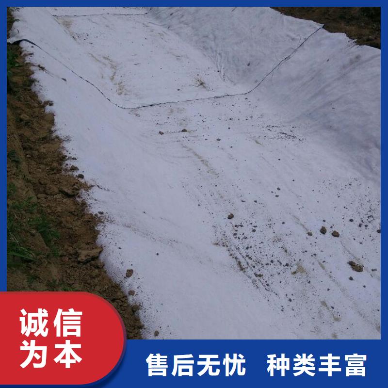 【防水毯】_土工布批发匠心打造亿路通凸结点钢塑土工格栅