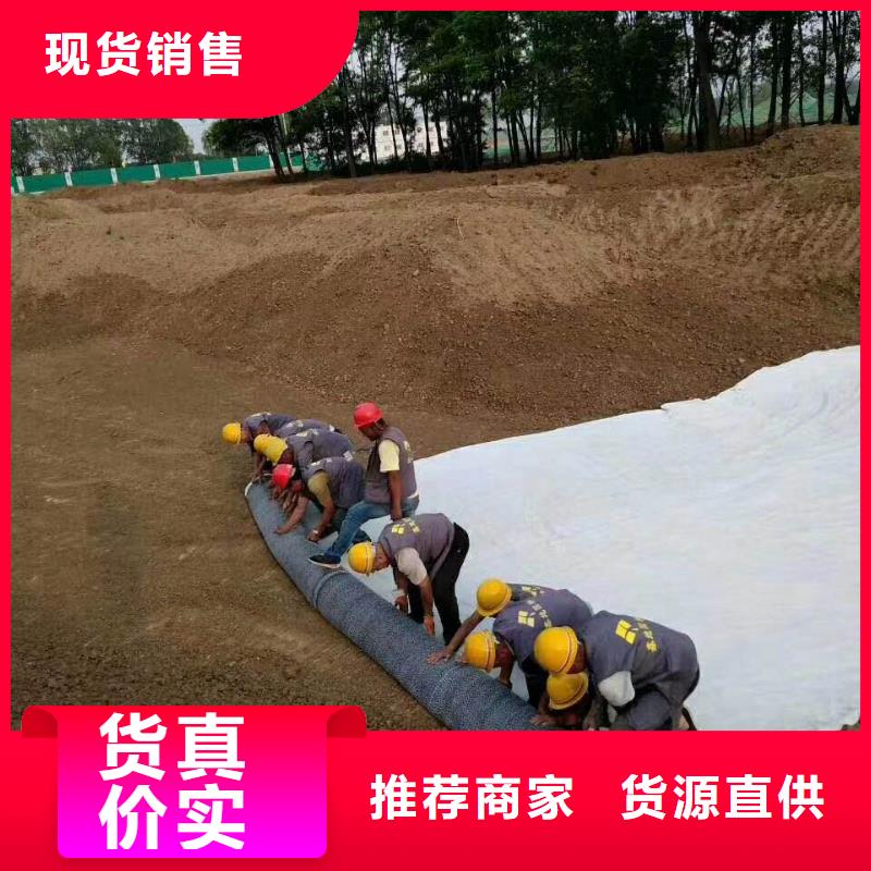 【防水毯】_土工布批发匠心打造亿路通凸结点钢塑土工格栅