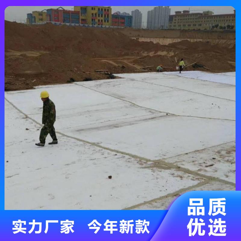 【防水毯】_土工布批发匠心打造亿路通凸结点钢塑土工格栅