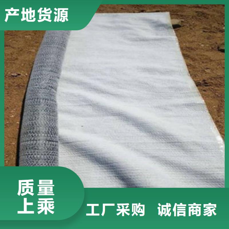 【防水毯】_土工布批发匠心打造亿路通凸结点钢塑土工格栅
