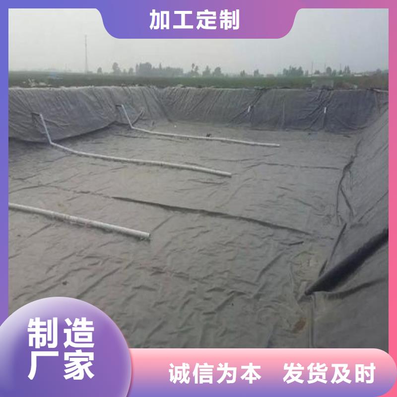 凸结点钢塑土工格栅视频-阜阳市凸结点钢塑土工格栅-【此地】可服务区域界首|颍东|铜陵|宿州|巢湖|马鞍山|宣城